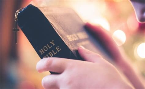 where did the extra books in the catholic bible come from? and what role do they play in the faith?